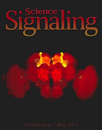 Science Signaling Cover 5-2013