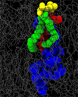 Transmembranprotein 160x200