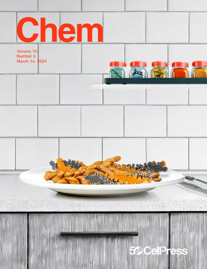 2024 Chem Cover