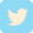 Twitter Logo Webseite 10.03