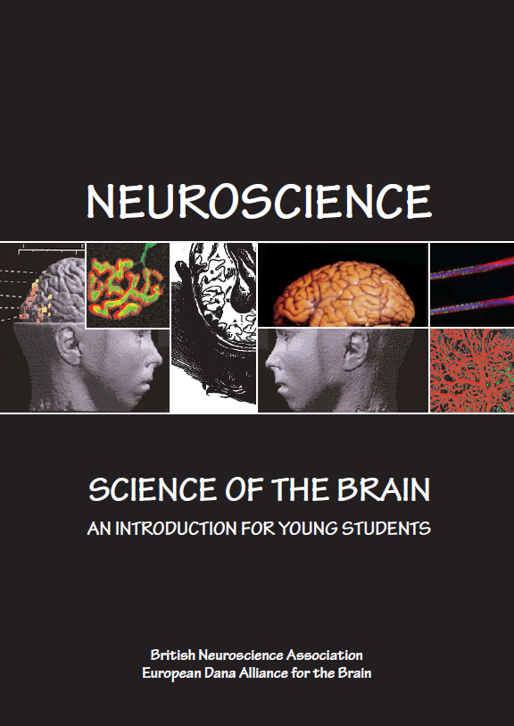 Studying at the IZN - Preparing Yourself - Neurobiology - Interdisciplinary  Center for Neurosciences - Heidelberg University