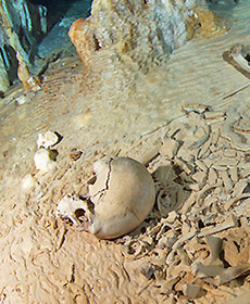 Schädel in Unterwasserhöhle
