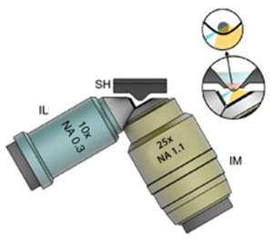Orientation of illumination (IL) and imaging (IM) objective plus sample holder (SH) in the InVi-SPIM