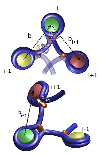 Mit dem Nukleosom, der fundamentalen Verpackungseinheit der DNS, lässt sich eine Kette bauen: das „Chromatin“.