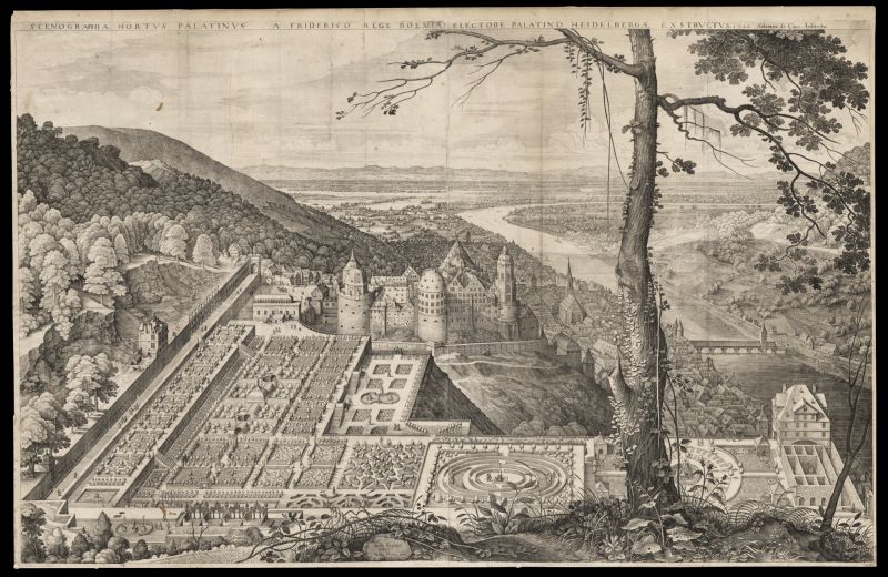 Hortus Palatinus 1620