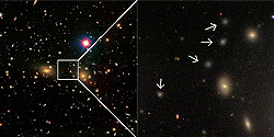 Astronomie Elliptische Zwerge 250x125