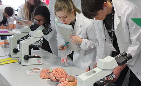 Brainbee Teilnehmer 2015