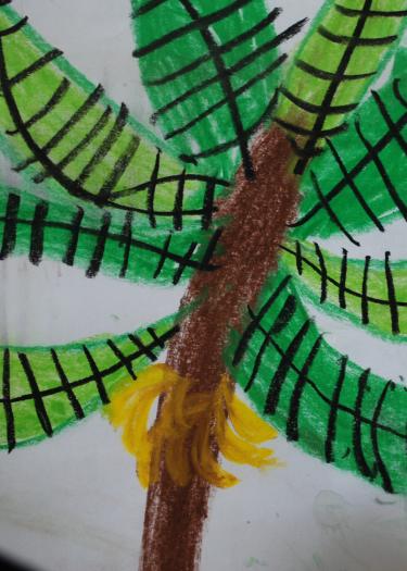 Foto, Buntstiftzeichnung einer Palme mit Blättern und Bananen